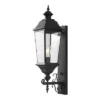 Braden Outdoor Wall Sconce - PLT4084 - Black - Safavieh