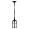 Adisyn 7" Outdoor Pendant - PLT4026 - Black - Safavieh