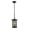 Osprey 8" Outdoor Pendant - PLT4030 - Black - Safavieh -Lighting Store GUEST 7dd2d3d4 3a05 492b bfd9 3862deef79ed