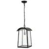 Adalai 10" Outdoor Pendant - PLT4028 - Black - Safavieh