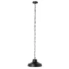 Quarry 13" Outdoor Pendant - PLT7023 - Black - Safavieh