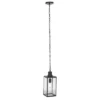Agni 6" Outdoor Pendant - PLT7015 - Black - Safavieh
