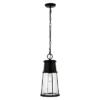 Laela 8.4" Outdoor Pendant - PLT4035 - Black - Safavieh